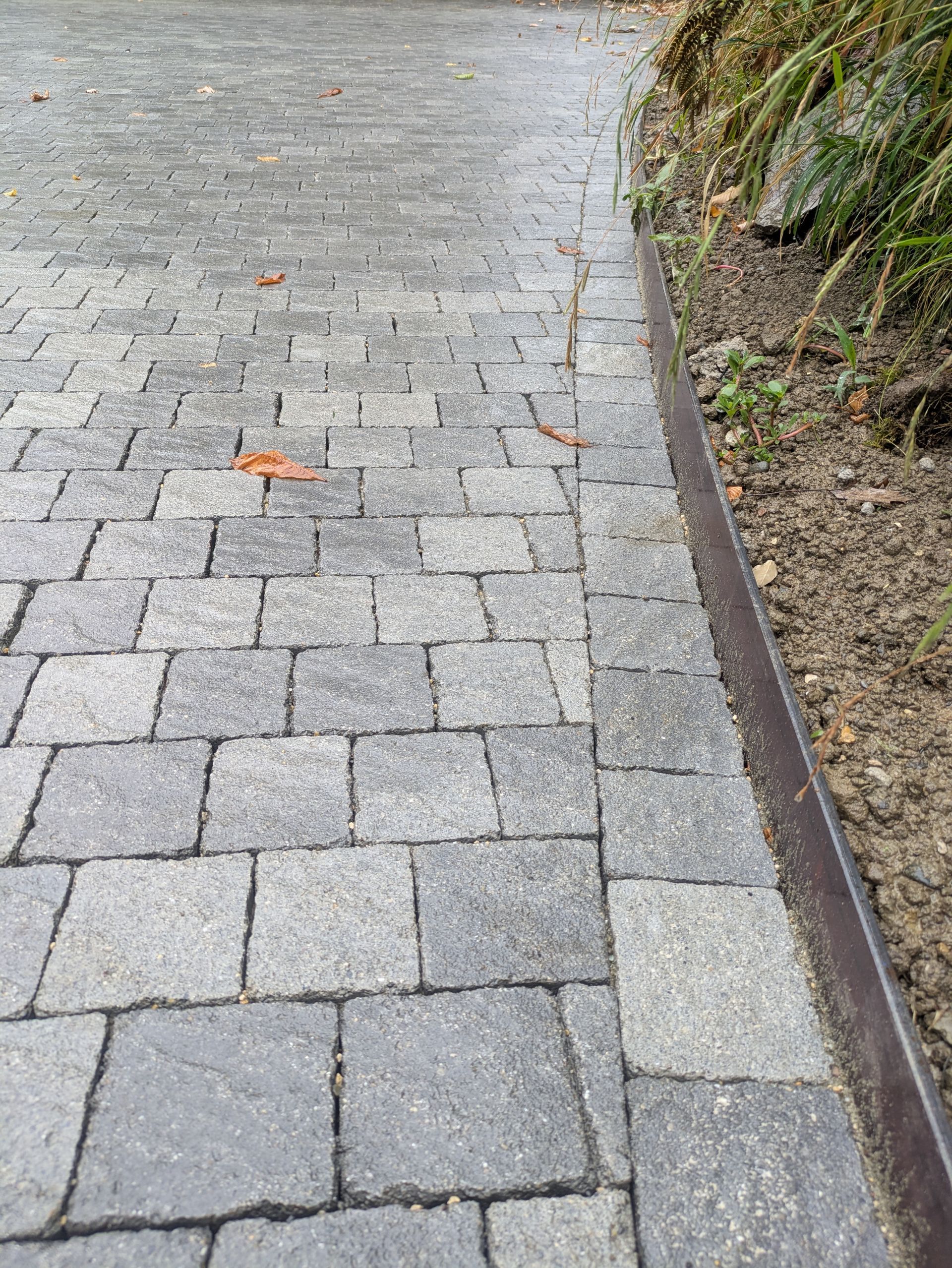 Allée pavée avec bordure sombre à côté de terre et de végétation.