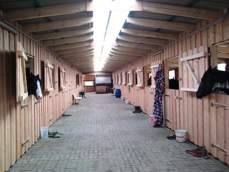 Ein langer Flur in einem Stall mit Pferden, die aus ihren Ställen schauen