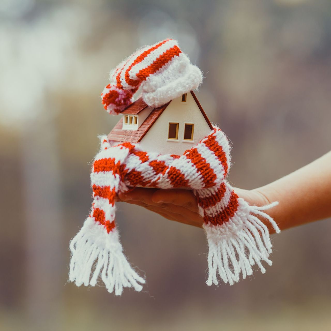 Maison avec un bonnet et une écharpe