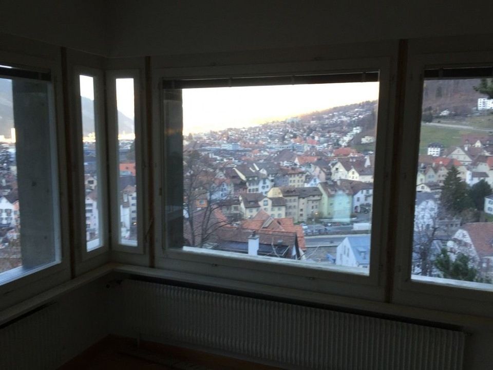 Fenlux Projekt Fenster