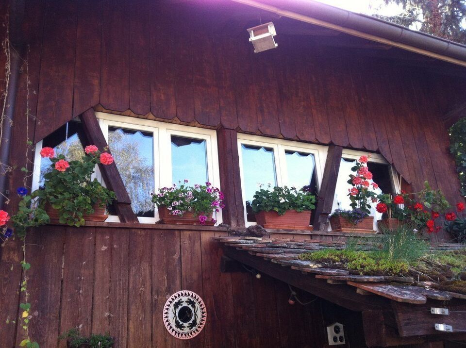 Fenlux Projekt Fenster