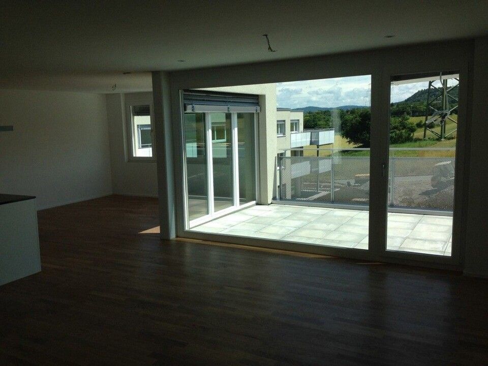 Fenlux Projekt Fenster