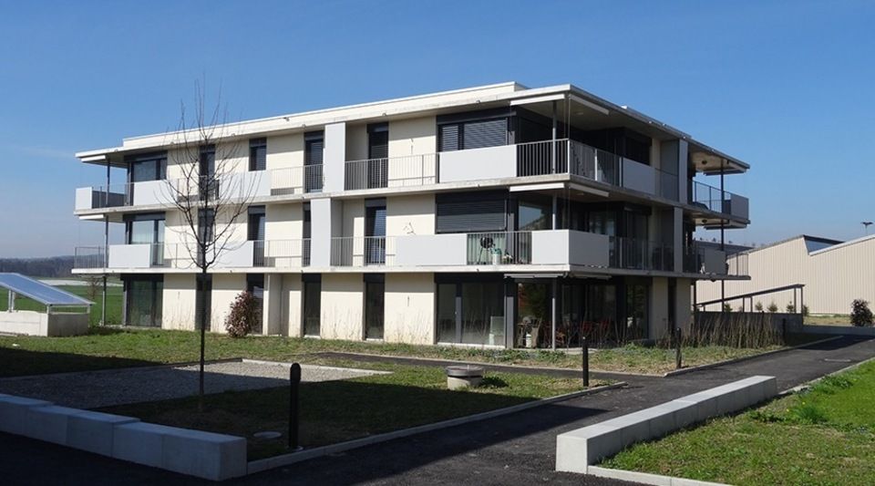 Fenlux Projekt Fenster