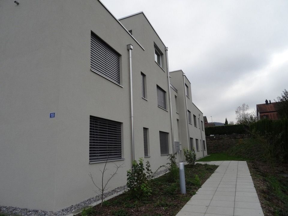 Fenlux Neubau Projekt Fenster