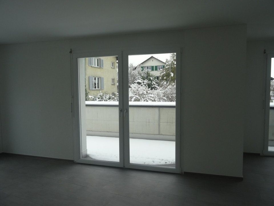 Fenlux Neubau Projekt Fenster Balkontür