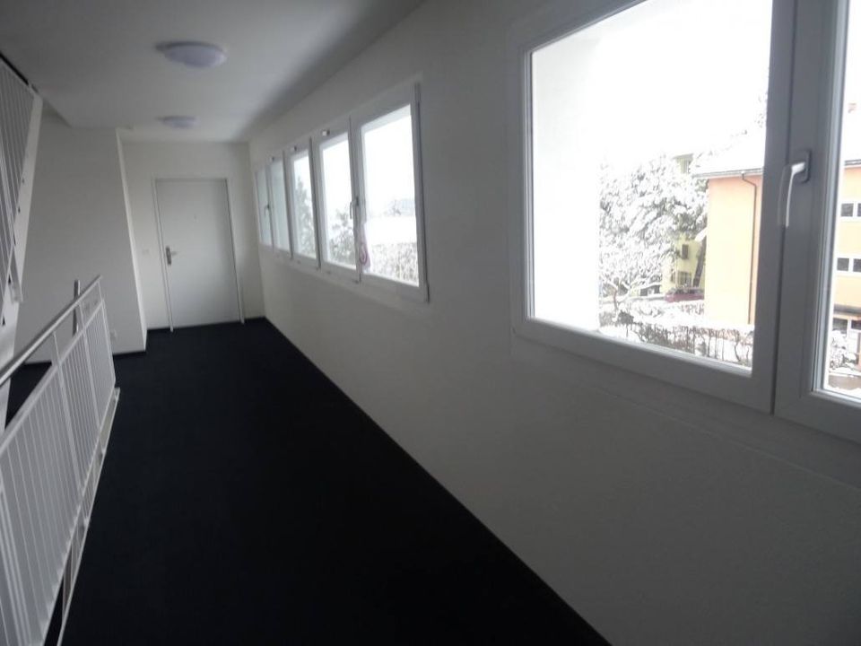 Fenlux Neubau Projekt Fenster