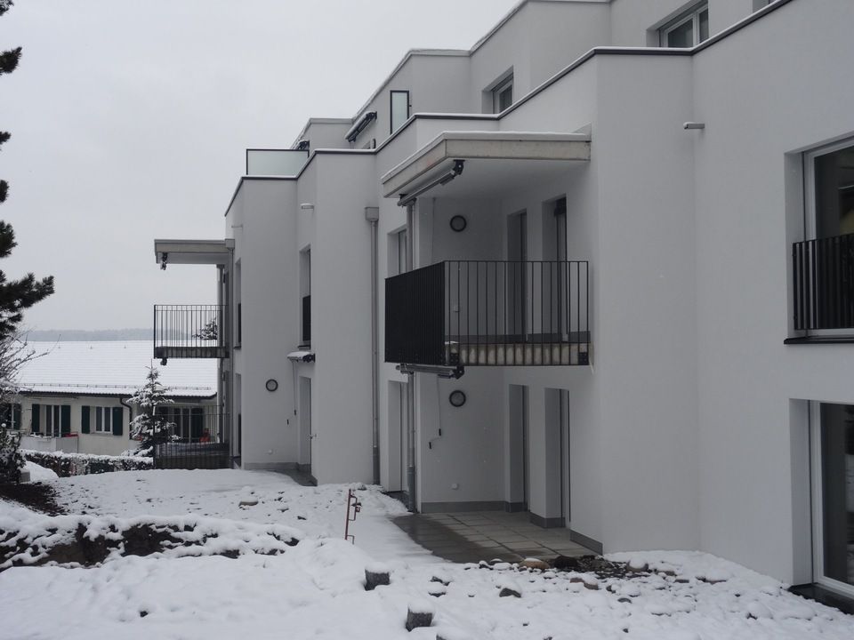 Fenlux Neubau Projekt Fenster