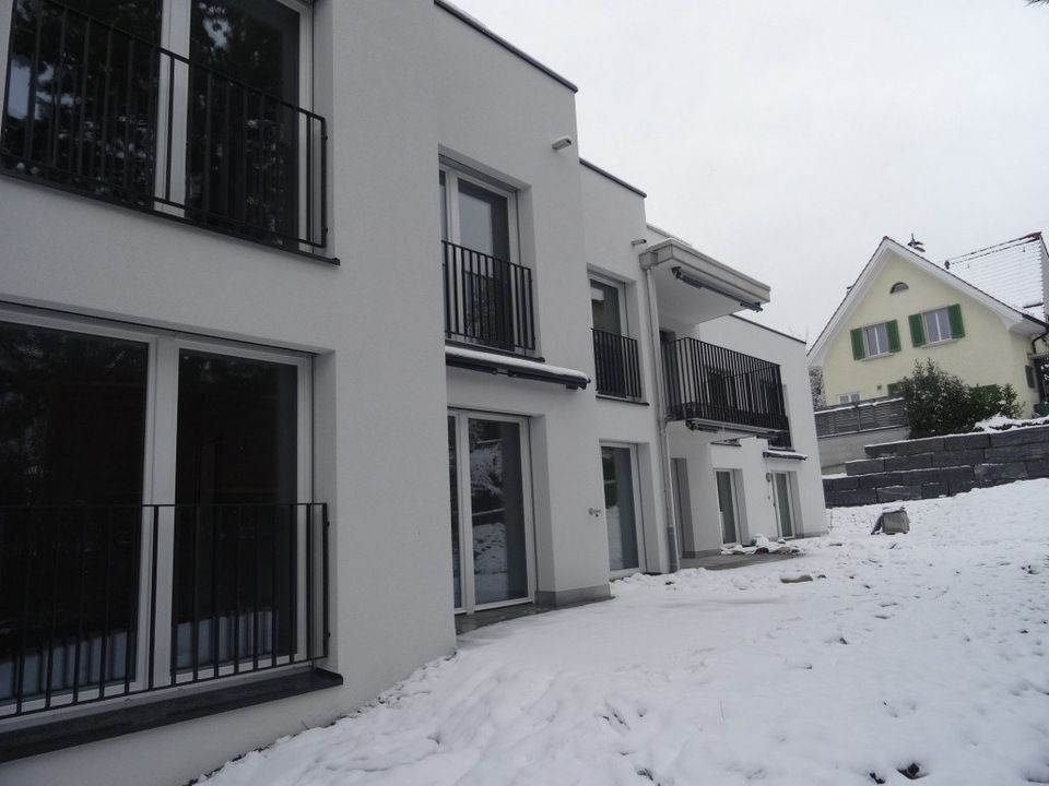 Fenlux Projekt Fenster