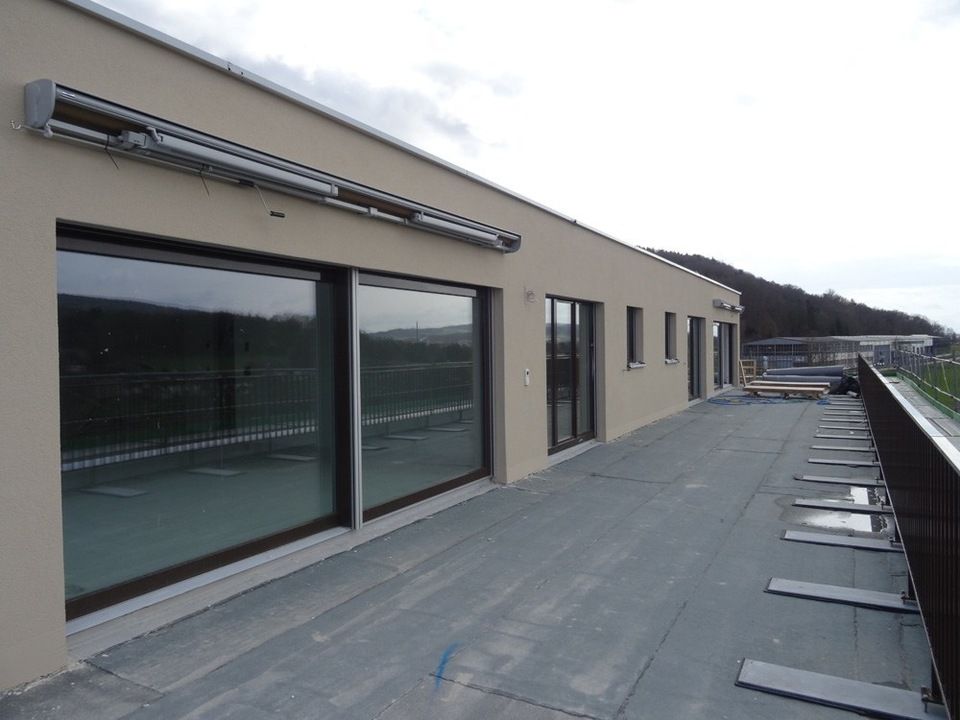 Fenlux Projekt Fenster