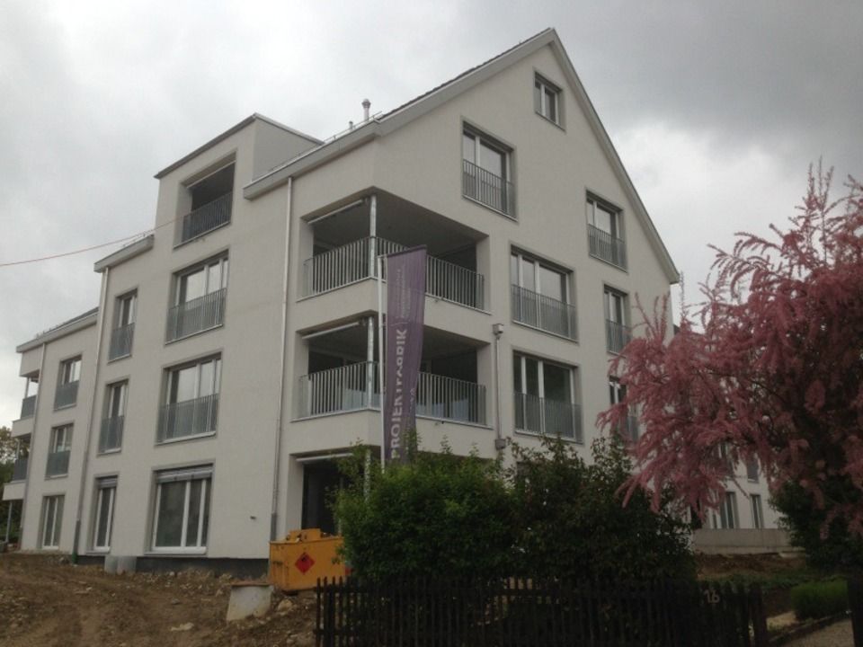 Fenlux Projekt Fenster