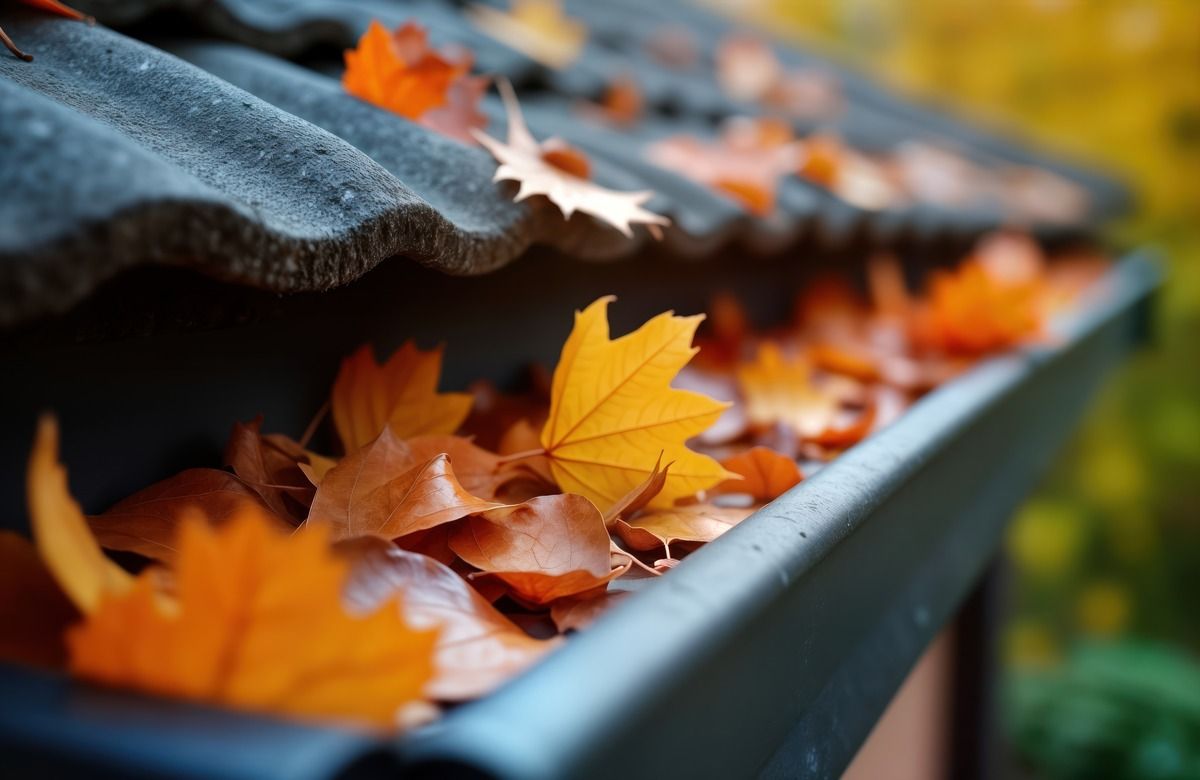 Herbstlaub in einer Dachrinne