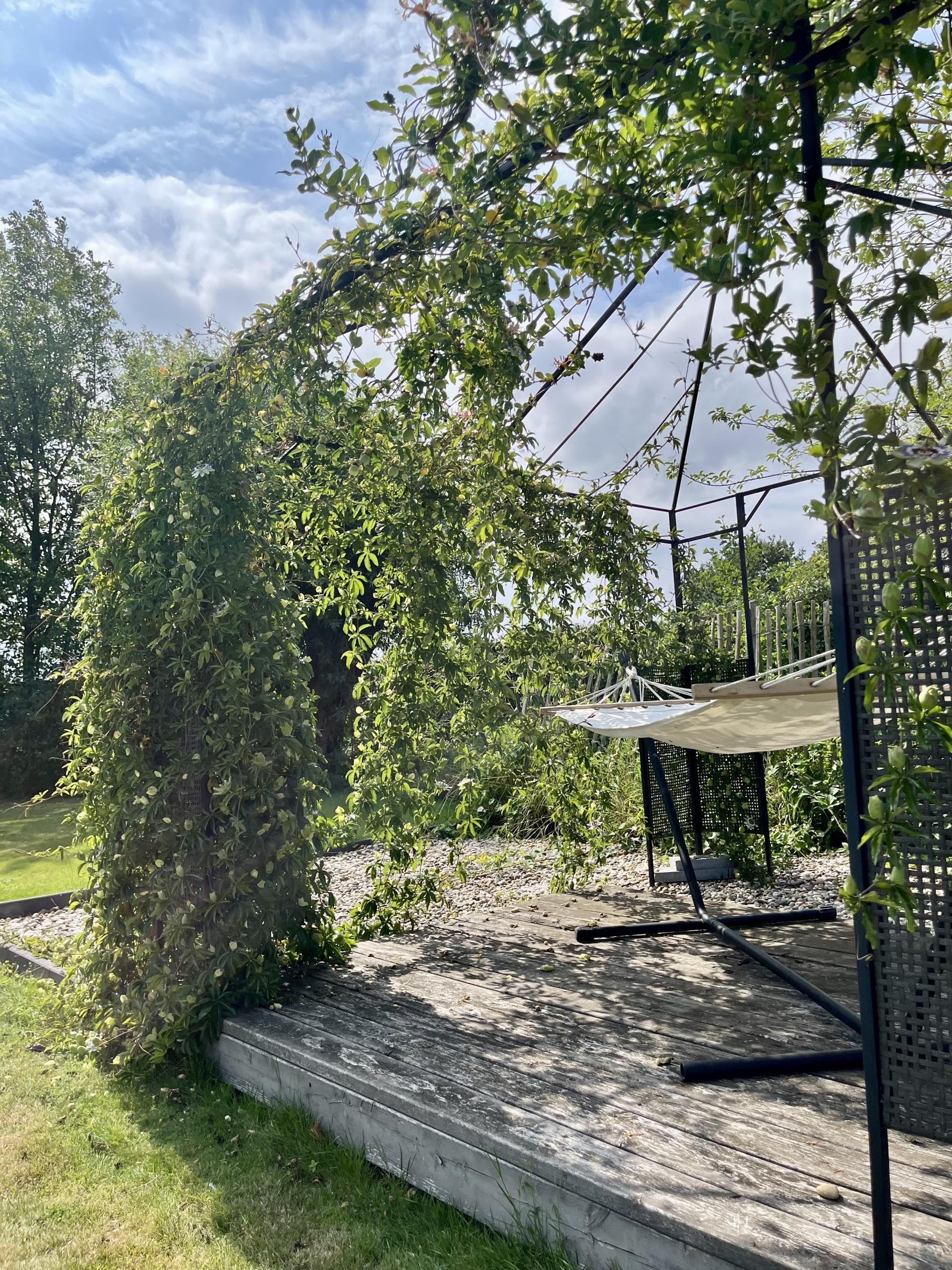 foto-hangmat-tuin.jpeg
