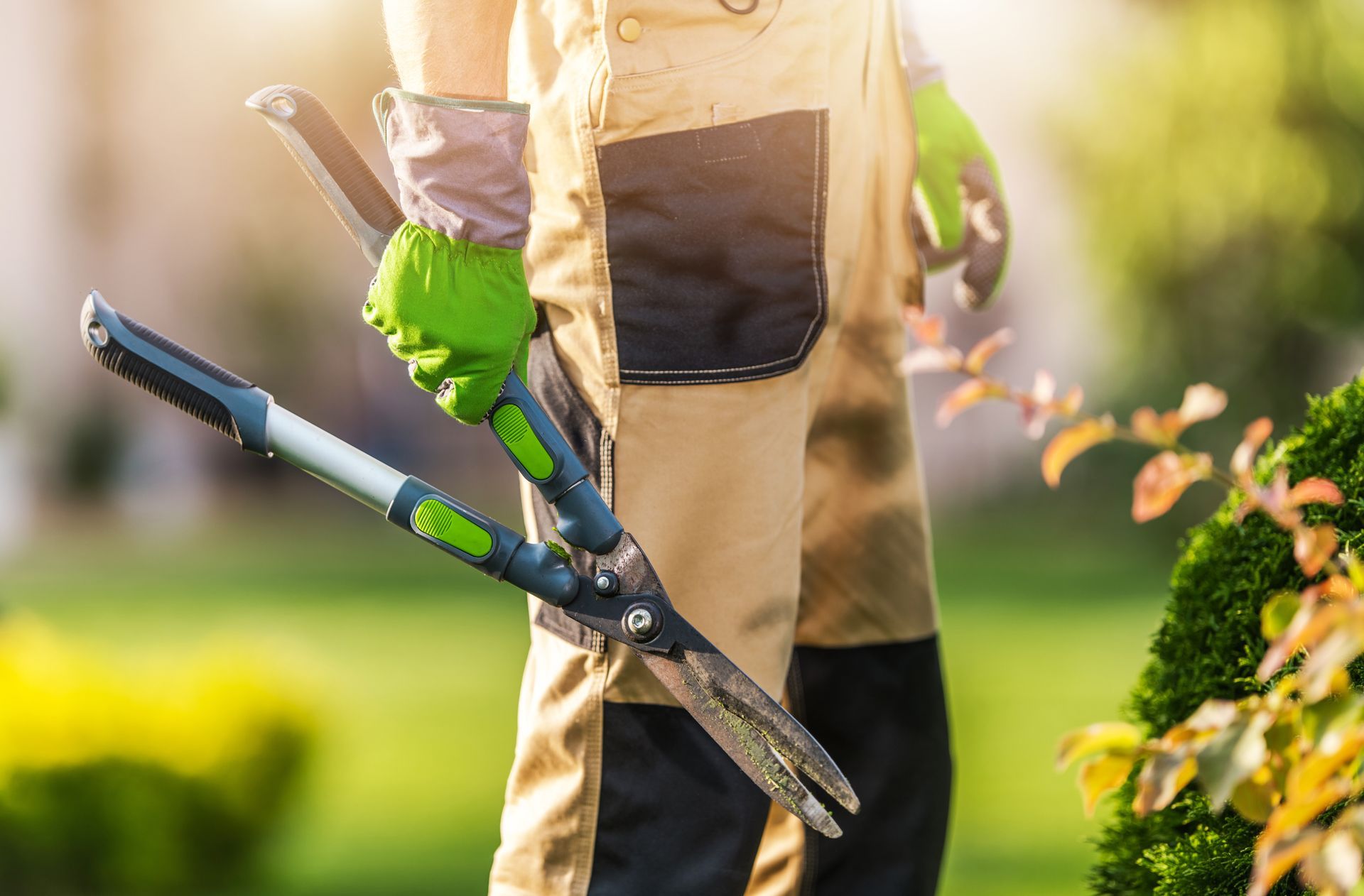 Un jardinier avec un sécateur