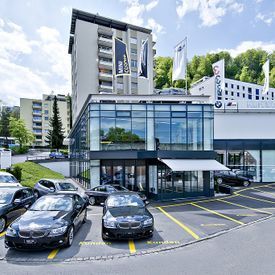 Reinigungsarbeiten Rein's Reinigungsservice - Küssnacht am Rigi