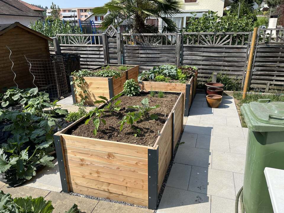 Hugentobler Gartenbau GmbH Hochbeet