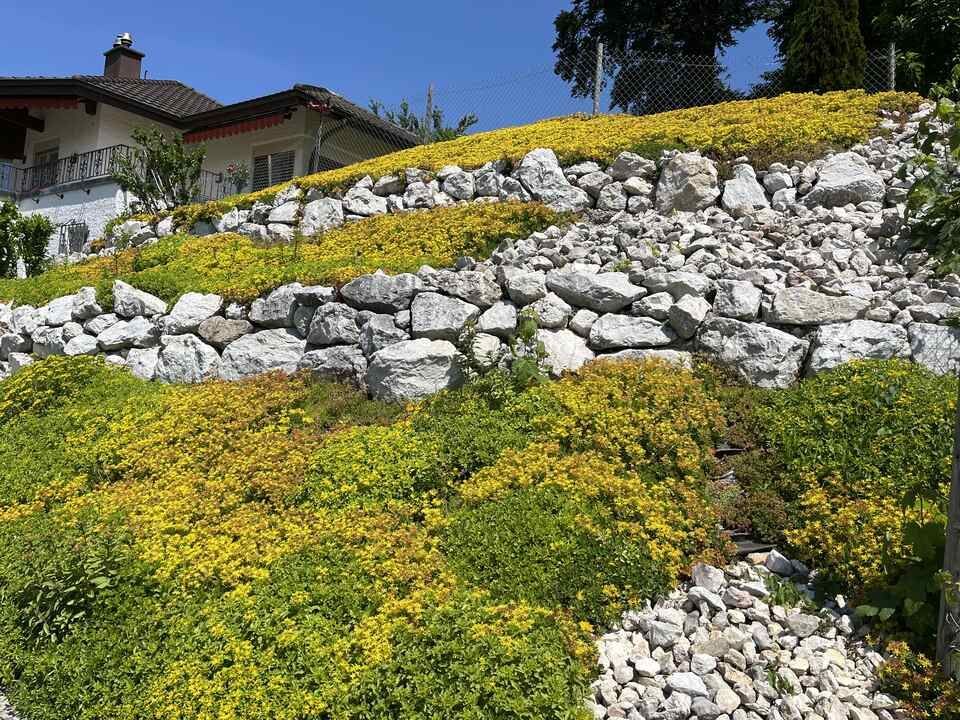 Hugentobler Gartenbau GmbH Pflasterung Steinmauer
