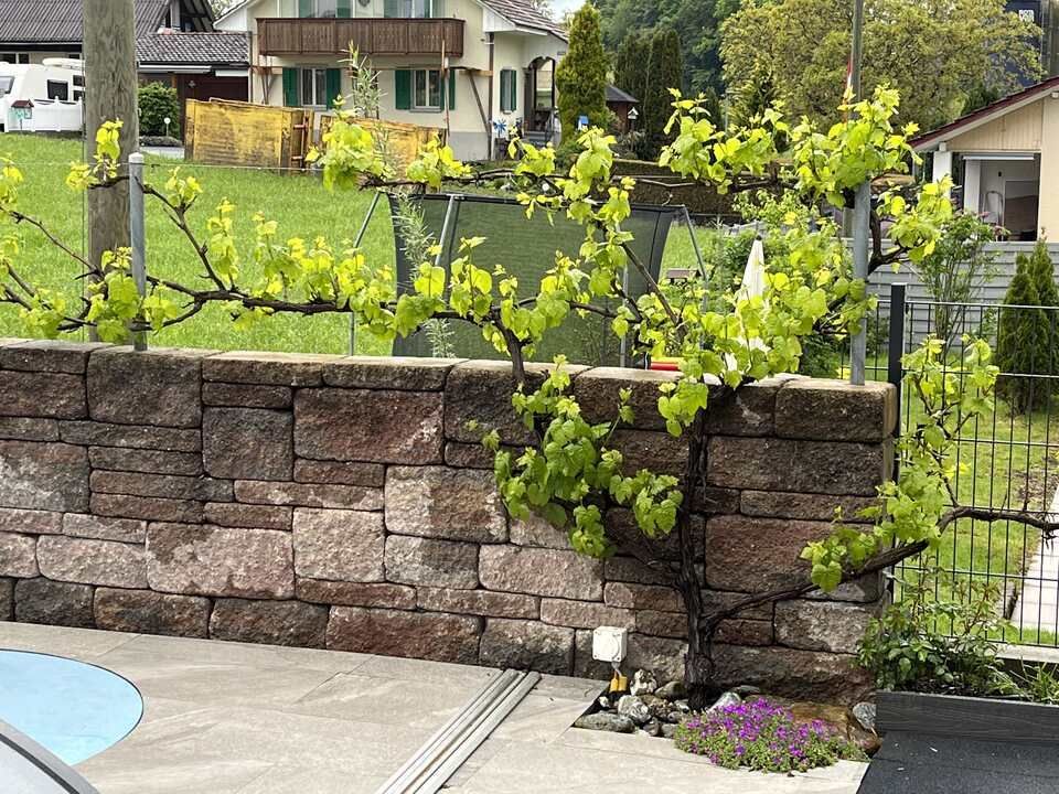 Hugentobler Gartenbau GmbH Gartenprojekt