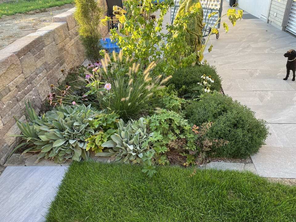 Hugentobler Gartenbau GmbH Beet