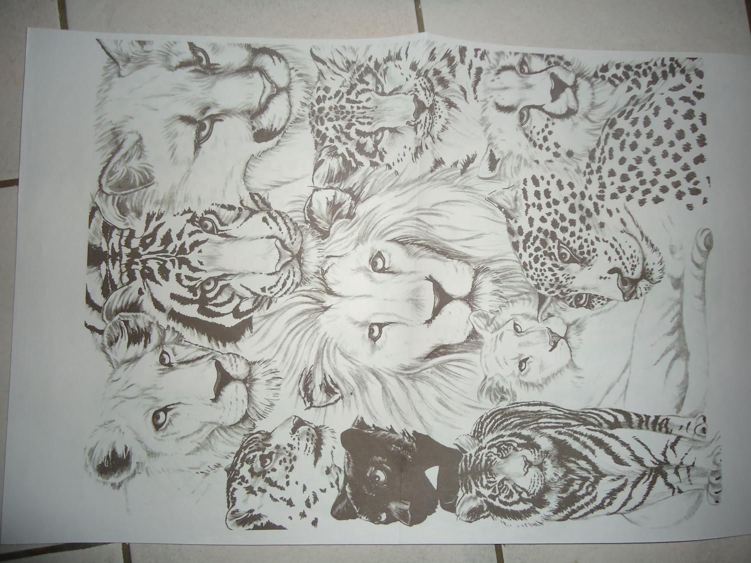 Rodriguez Marie-Christine