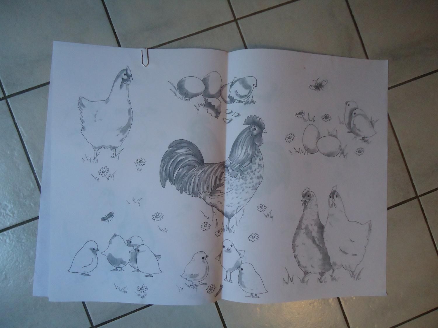 Rodriguez Marie-Christine