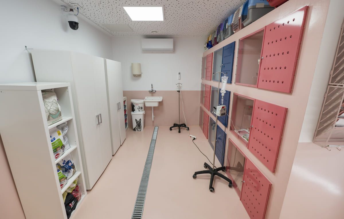 Sala de examen médico vacía con lavabo, armarios, silla de exploración y paneles de almacenamiento azules y rosas.