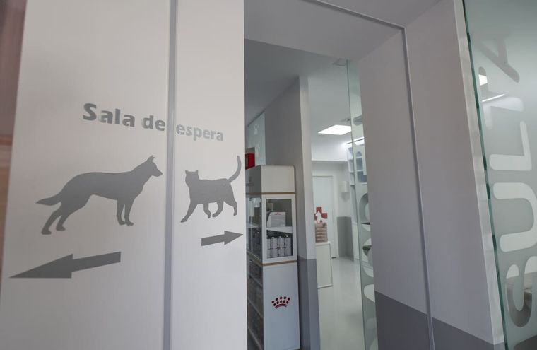 Radiografía animal