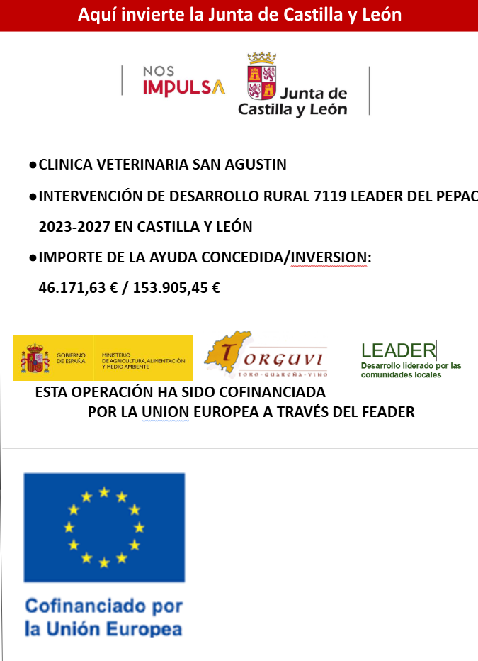 Cartel de ayuda LEADER con logotipos de Junta de Castilla y León, Unión Europea y texto de financiación pública