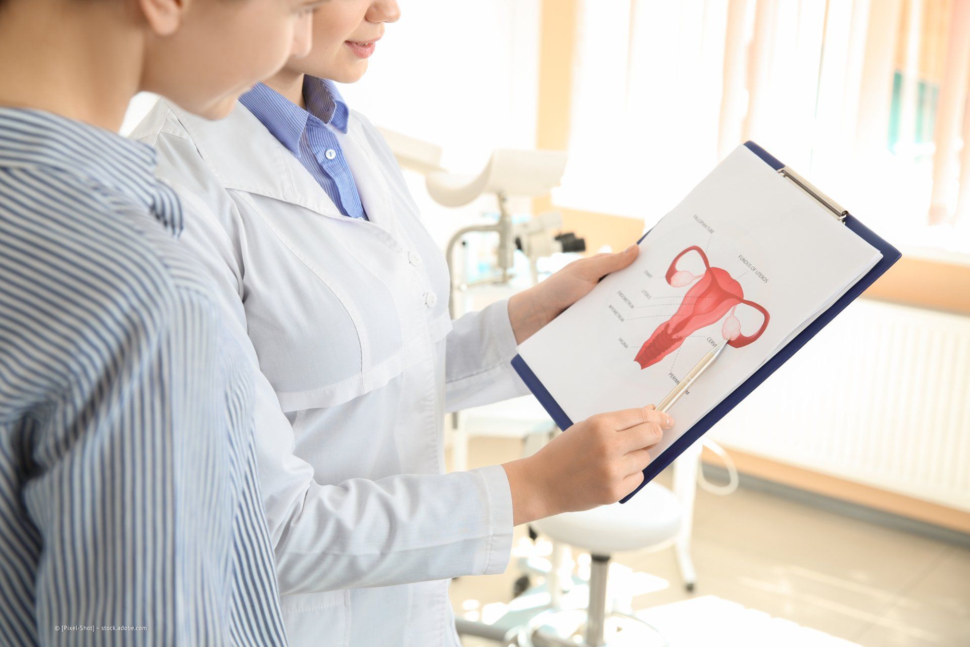 Gynäkologin mit einer Abbildung eines Uterus