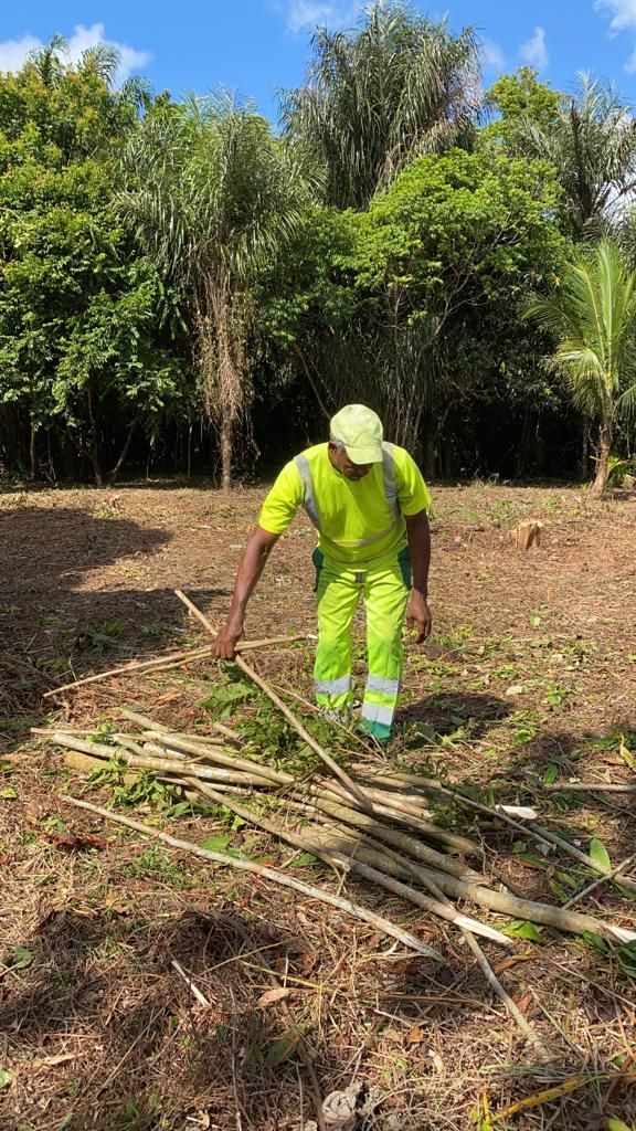 Évacuation des déchets verts