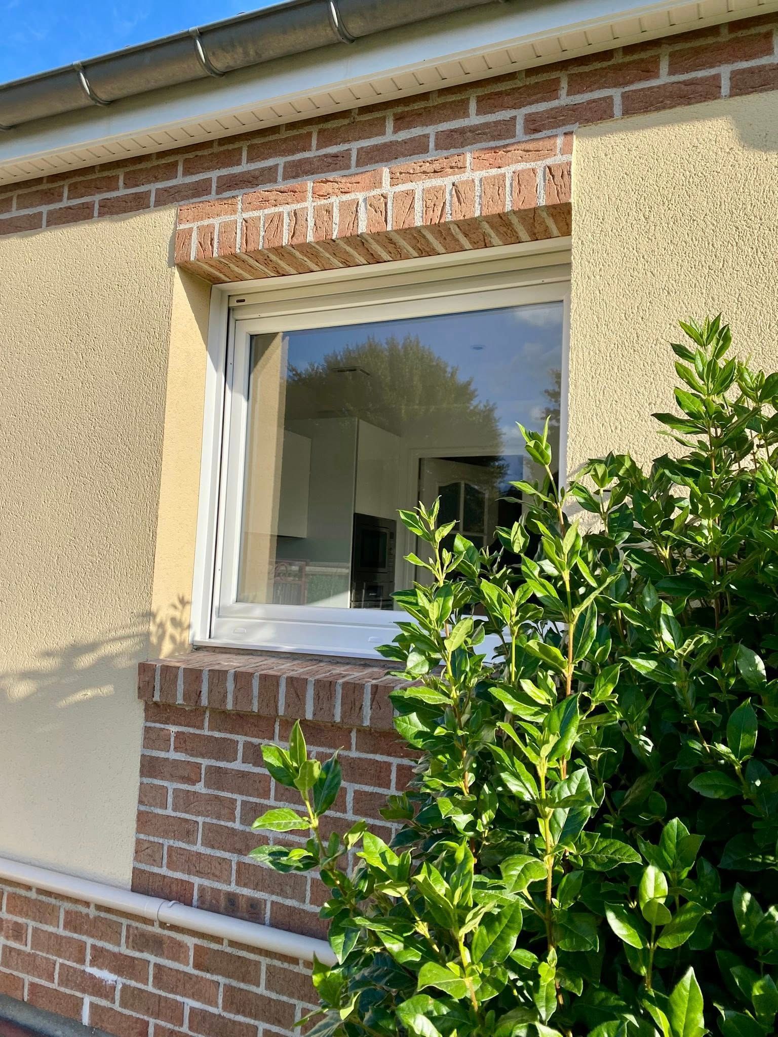 Fenêtre en briques à cadre blanc, partiellement masquée par une plante à feuillage vert.