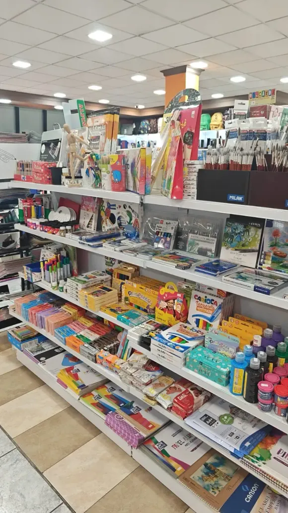 Estanterías de una papelería repletas de diversos materiales de arte, libros, bolígrafos y productos de papel.