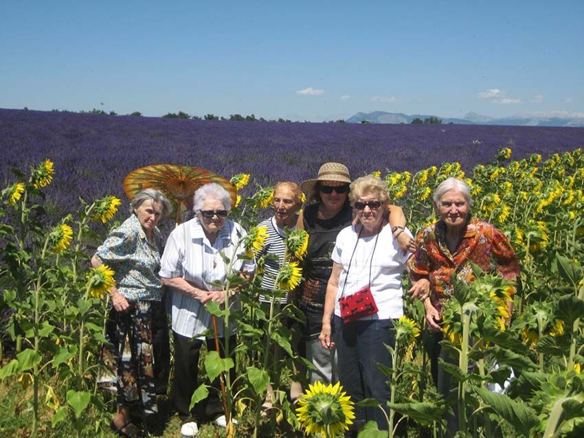 Un groupe de personnes dans un champ de tournesols avec des champs de lavande en arrière-plan, par une journée ensoleillée.