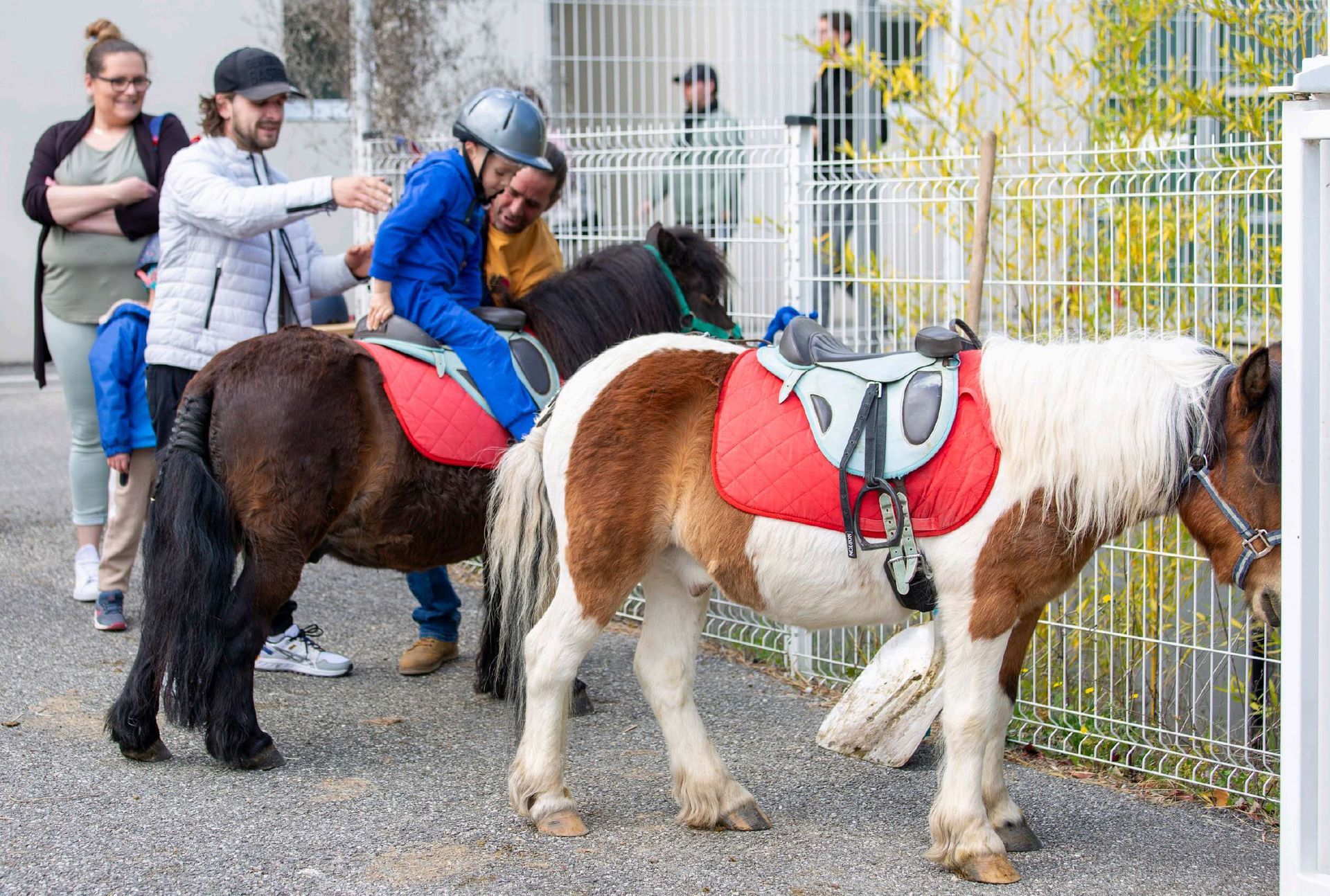 Deux chevaux bruns tirent une charrette bâchée où se trouvent deux personnes souriantes. Des arbres verts et un bâtiment se dressent à l'arrière-plan.