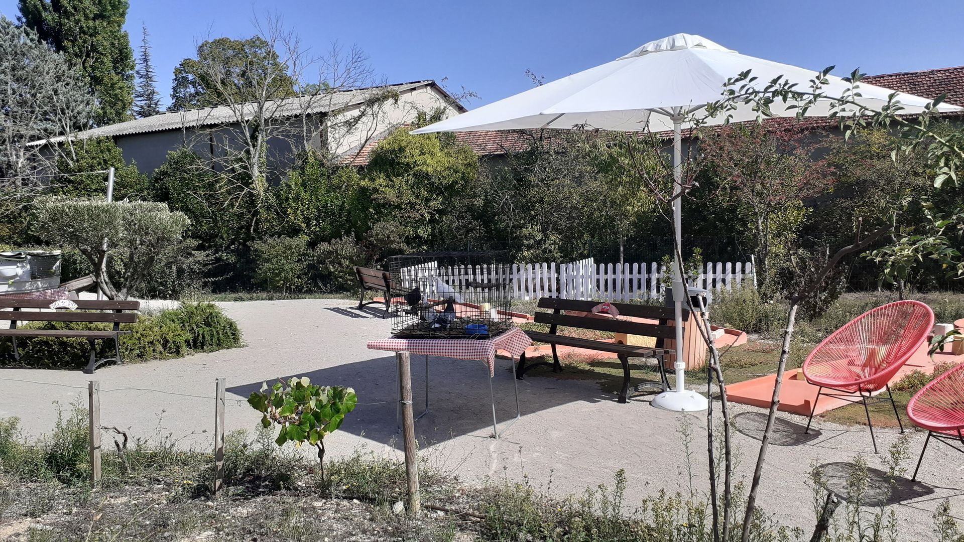 Une cour arrière avec bancs, table de pique-nique sous un parasol, entourée de verdure et de bâtiments.