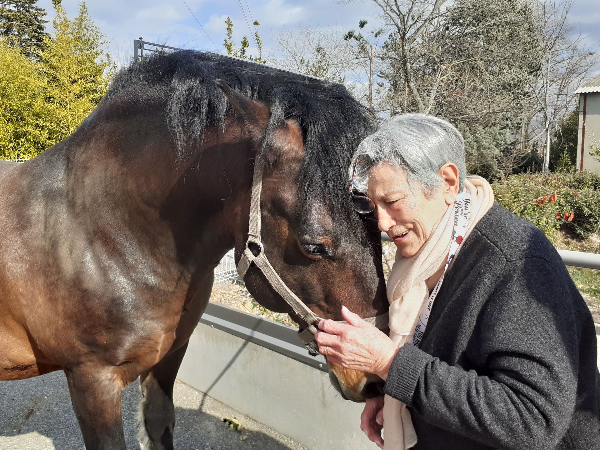 Un cheval brun portant un licol se tient près d'un bâtiment aux accents rouges.