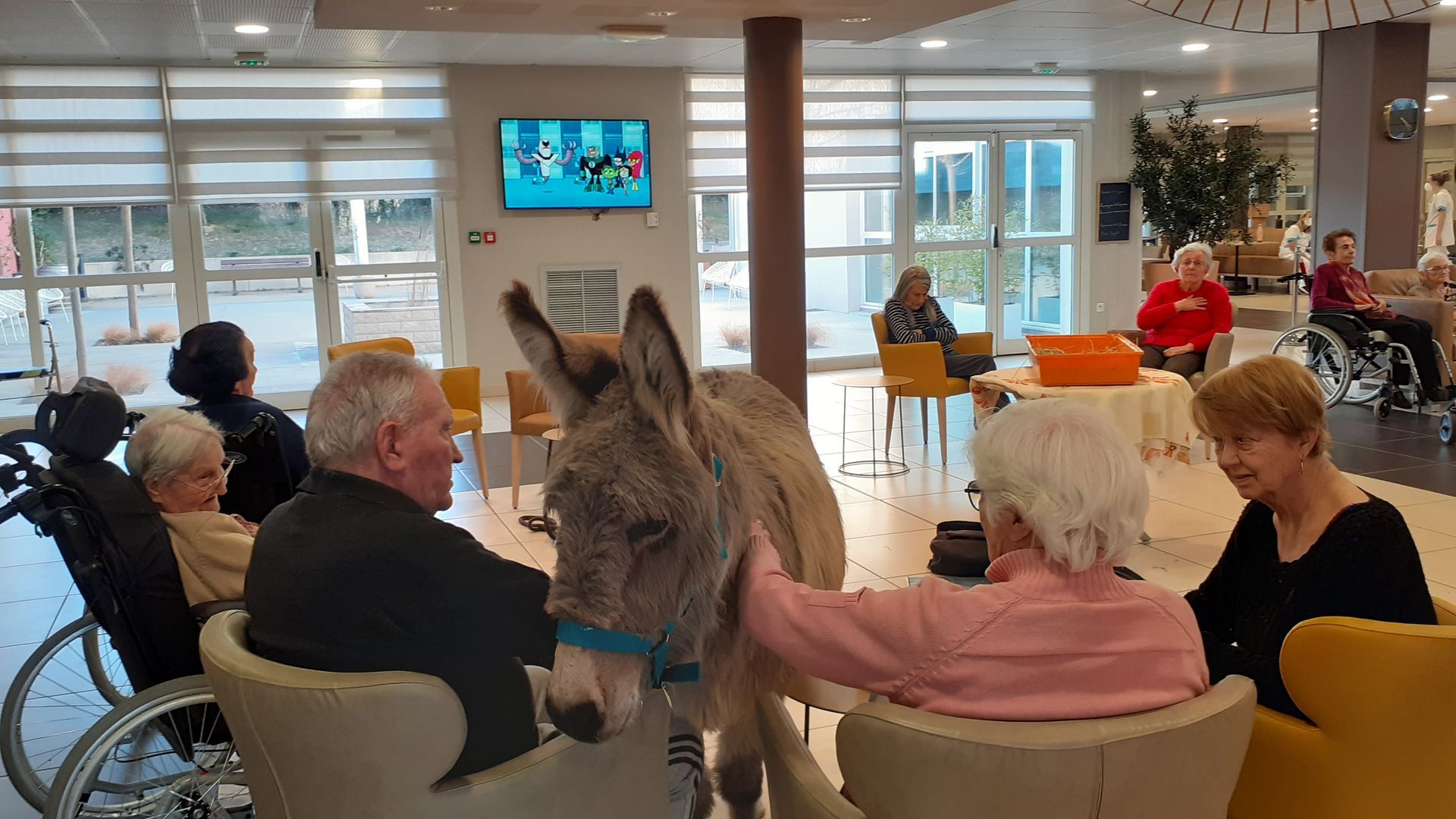 Une femme caresse doucement le visage d'un cheval brun foncé à l'extérieur ; tous deux semblent calmes, par une journée ensoleillée.