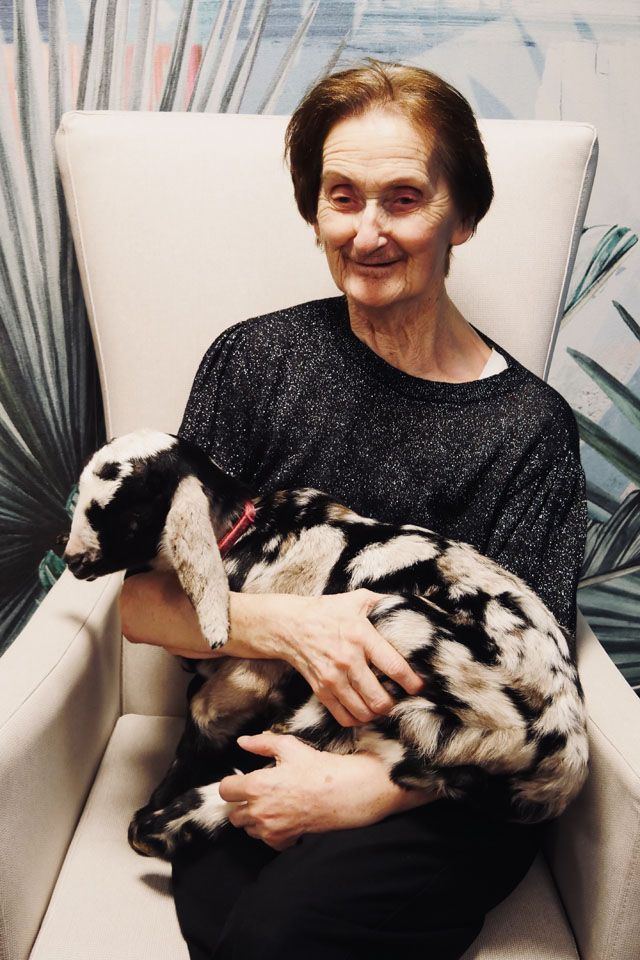 Une femme âgée  assise sur une chaise, tenant un agneau aux taches noires et blanches, sourit.