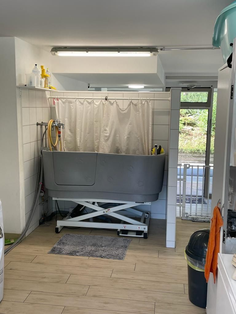 Canicat - toilettage chiens et chats - boutique spécialisée