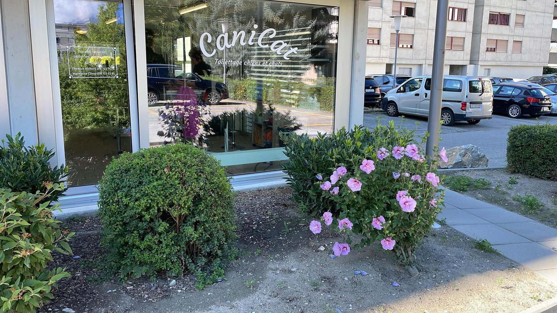 Canicat - toilettage chiens et chats - boutique spécialisée