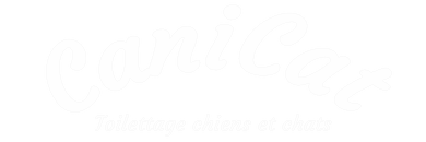 Logo Canicat - Salon de Toilettage chiens et chats - Boutique -Sion