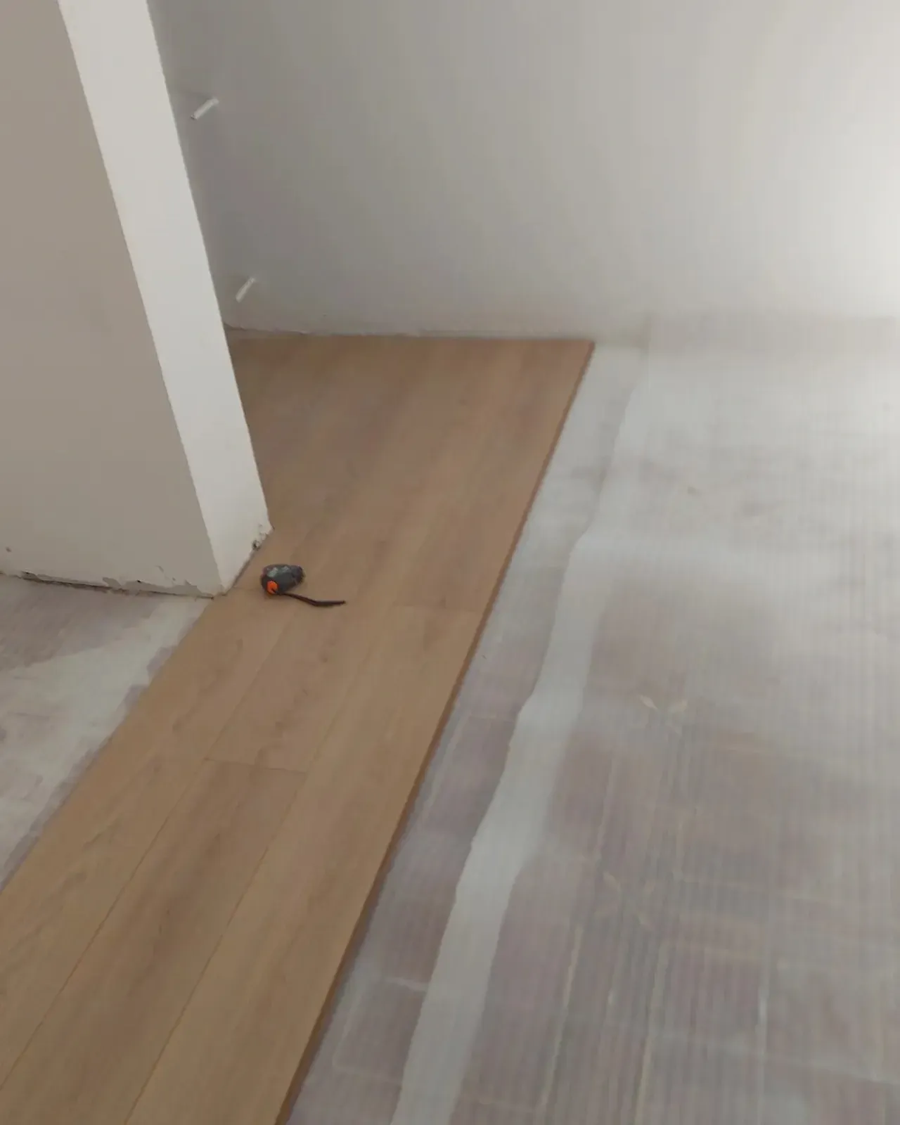 Habitación con suelo de madera clara en obras, parcialmente cubierta 