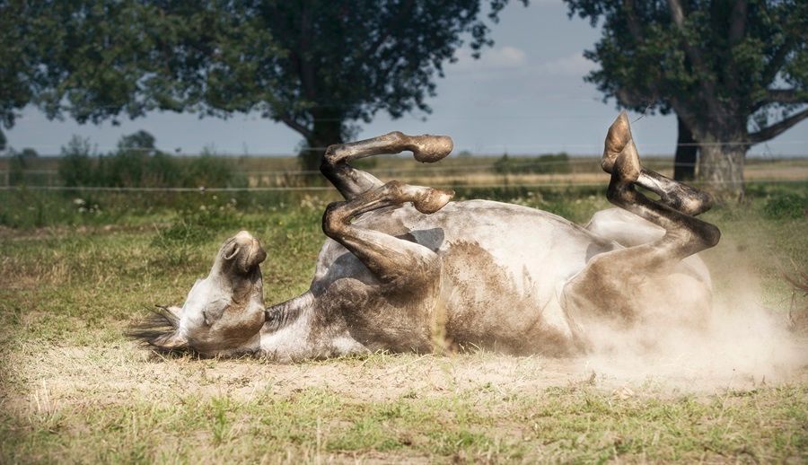 Praxis zur Medizinphilosophie