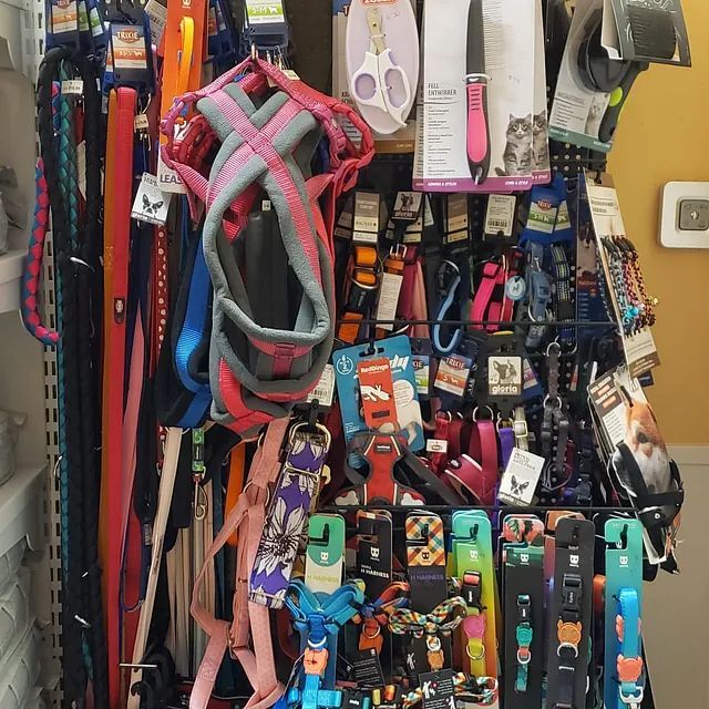 Un montón de collares y correas están en exhibición en una tienda