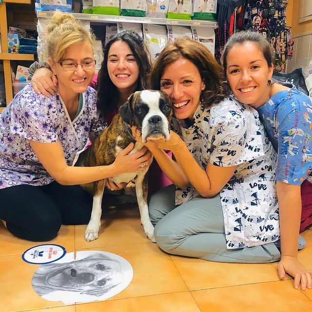 Un grupo de mujeres posa para una foto con un perro.