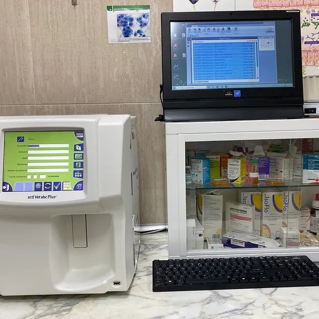 Una computadora con una pantalla verde está al lado de una máquina