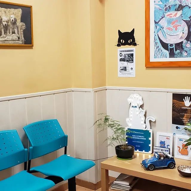 Una sala de espera con sillas azules y una foto de un perro en la pared.