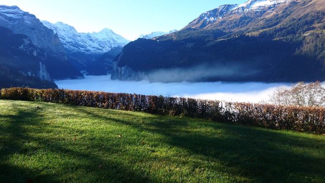 Wengen Berglandschaft Nebel