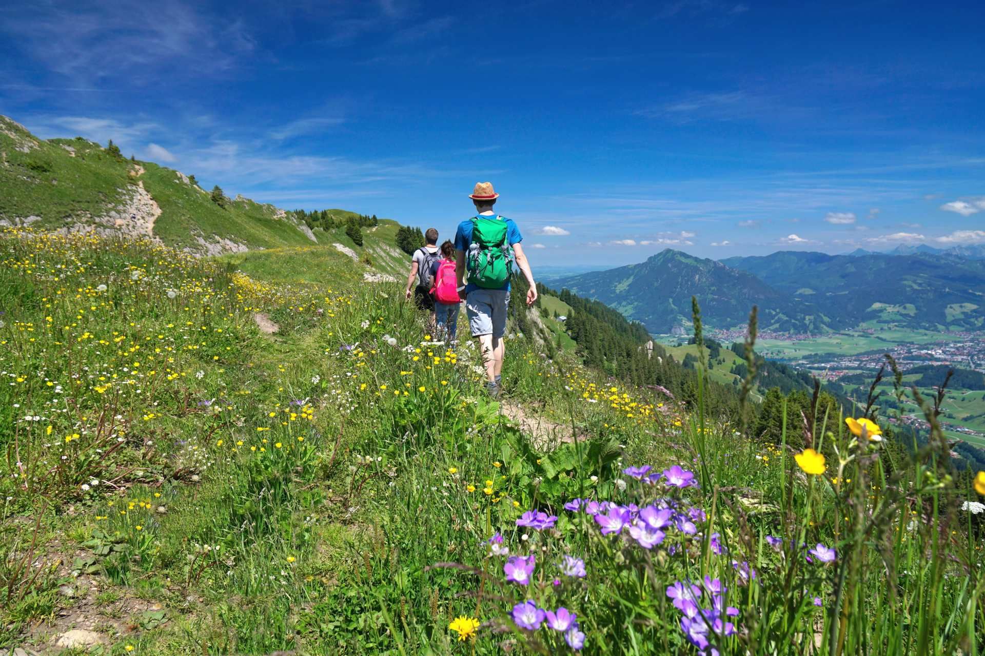 Hiking group in the Alps