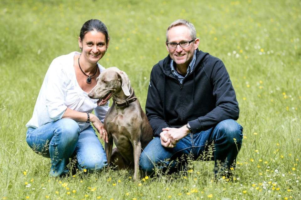 malwerk malerbetriebe GmbH