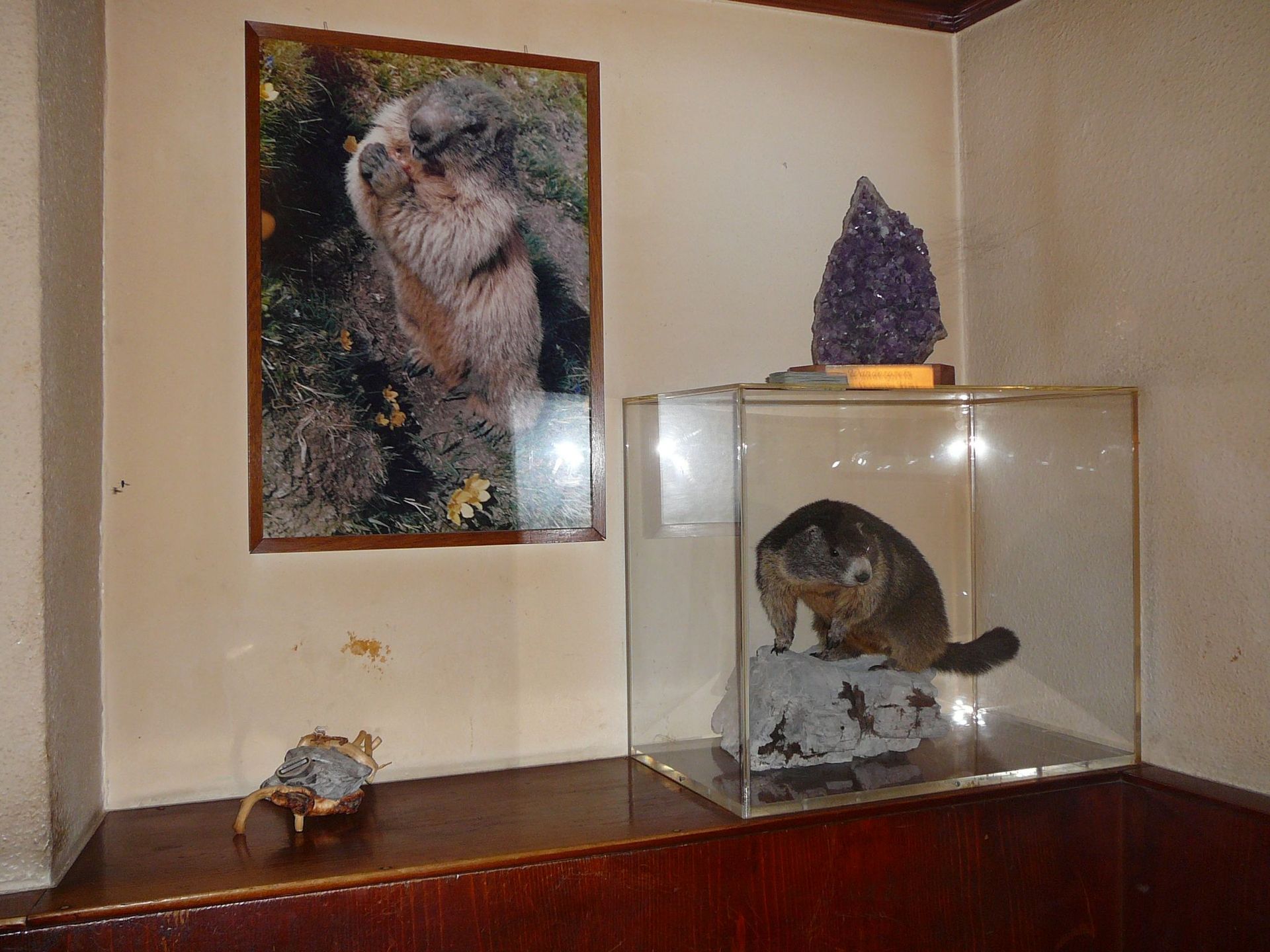 Gasthaus Rössli - Stefan Röthlin GmbH - Kerns